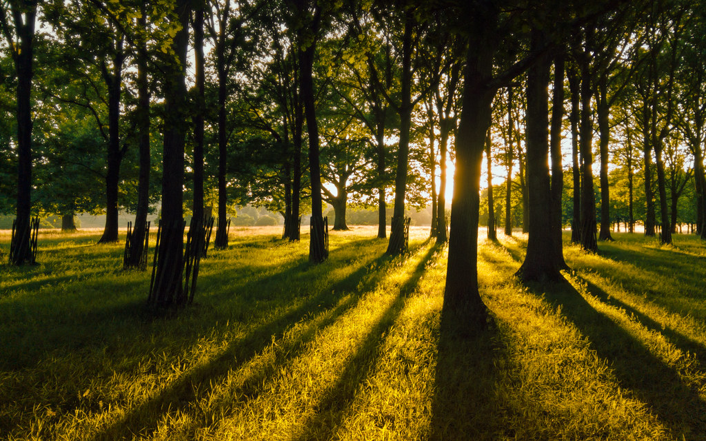 Pôr do sol dourado sobre a água com o céu em tons quentes, exemplo de luz da golden hour