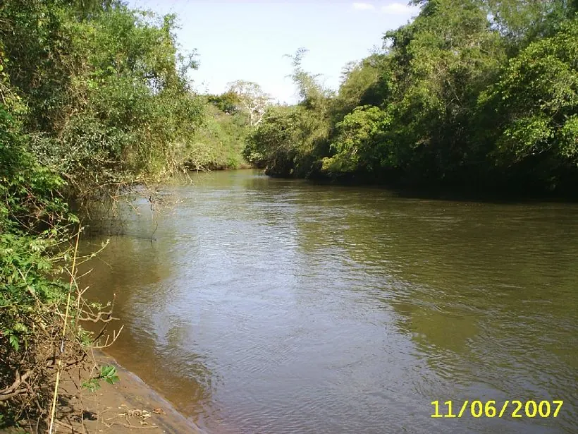 Rio Dourados em meio à vegetação